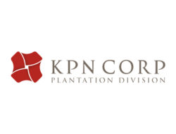 Lowongan Kerja KPN CORP Plantation Division