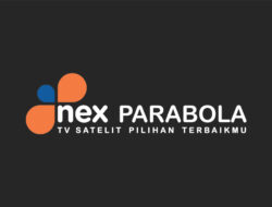 Lowongan Nex Parabola