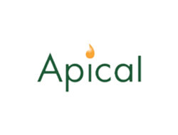 Lowongan Kerja Apical Group Ltd