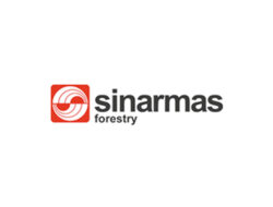 Lowongan Kerja Sinar Mas Forestry | Graduate Trainee