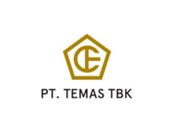 Lowongan Kerja PT. Temas Tbk | 4 Posisi – SMK D3