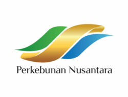 Lowongan Kerja BUMN Perkebunan Nusantara Group