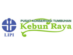 Lowongan Kerja PKT Kebun Raya Bogor – LIPI