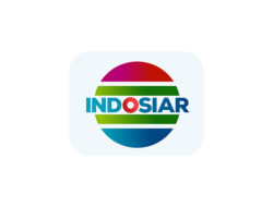 Lowongan Kerja PT. Indosiar Visual Mandiri Tbk – Intern