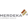 PT Merdeka Copper Gold Tbk