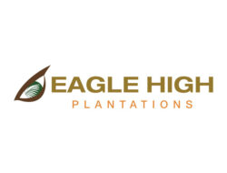 PT Eagle High Plantations Tbk