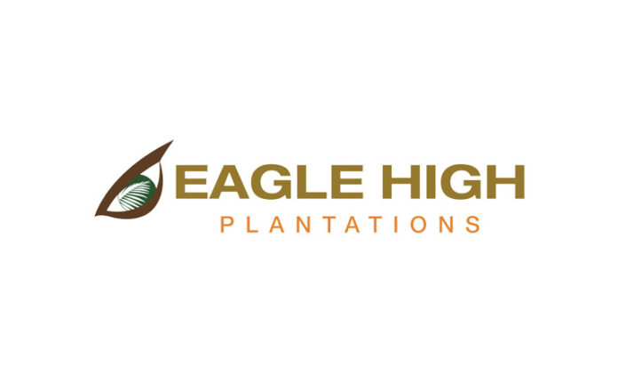 Lowongan Kerja PT Eagle High Plantations Tbk