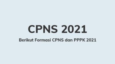 Berikut Formasi CPNS dan PPPK 2021, Simak Apa Saja Formasinya