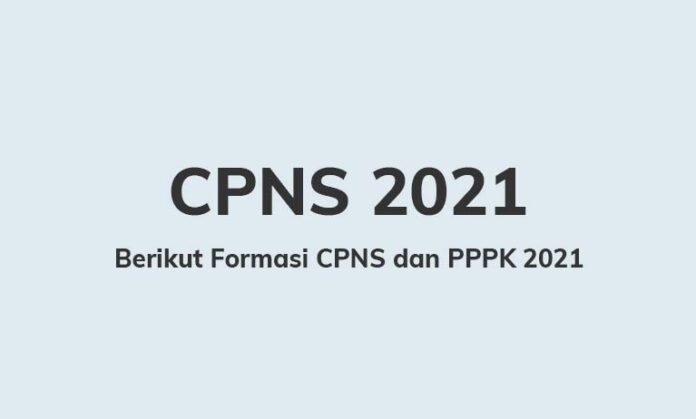 Formasi CPNS dan PPPK 2021