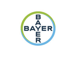 Lowongan Kerja PT Bayer Indonesia – 10 Posisi