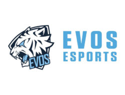 Lowongan Kerja PT Evos Esports Indonesia, Semua Jurusan