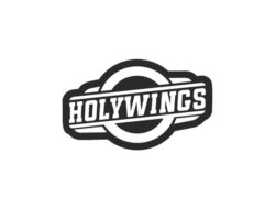 Lowongan Kerja PT Aneka Bintang Gading (Holywings Group)