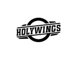 Lowongan Kerja PT Aneka Bintang Gading (Holywings Indonesia)