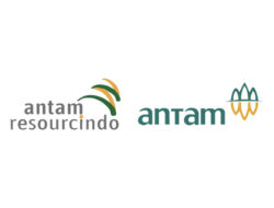 Lowongan Kerja Accounting Staff PT Antam Resourcindo