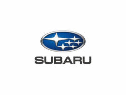 Lowongan Kerja PT Plaza Auto Mega (Plaza Subaru)