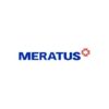 PT Meratus Line & Group