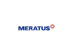 PT Meratus Line & Group